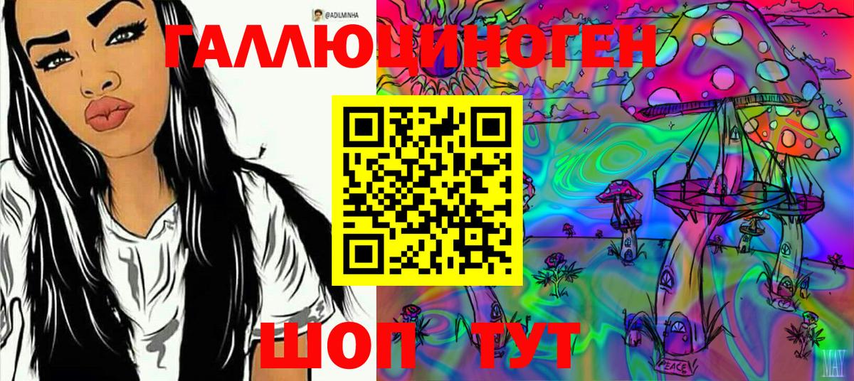 Псилоцибиновые грибы MAGIC MUSHROOMS Димитровград